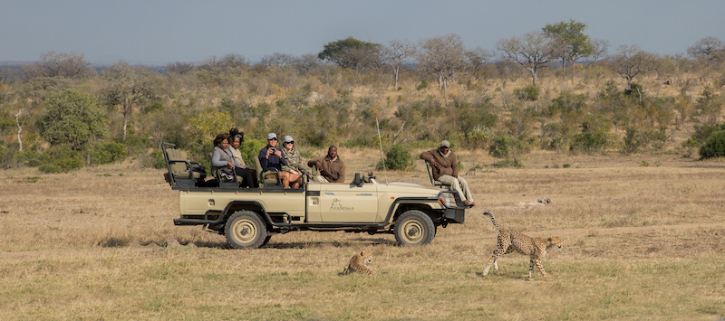 Kruger Park Big Five Safaris