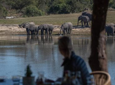 herd-of-elephants-drinking-from-a-waterhole