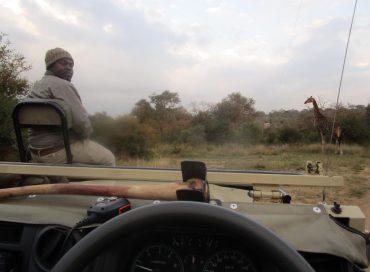 a-tracker-sitting-on-the-front-seat-of-a-safari-vehicle-with-a-giraffe-in-the-background