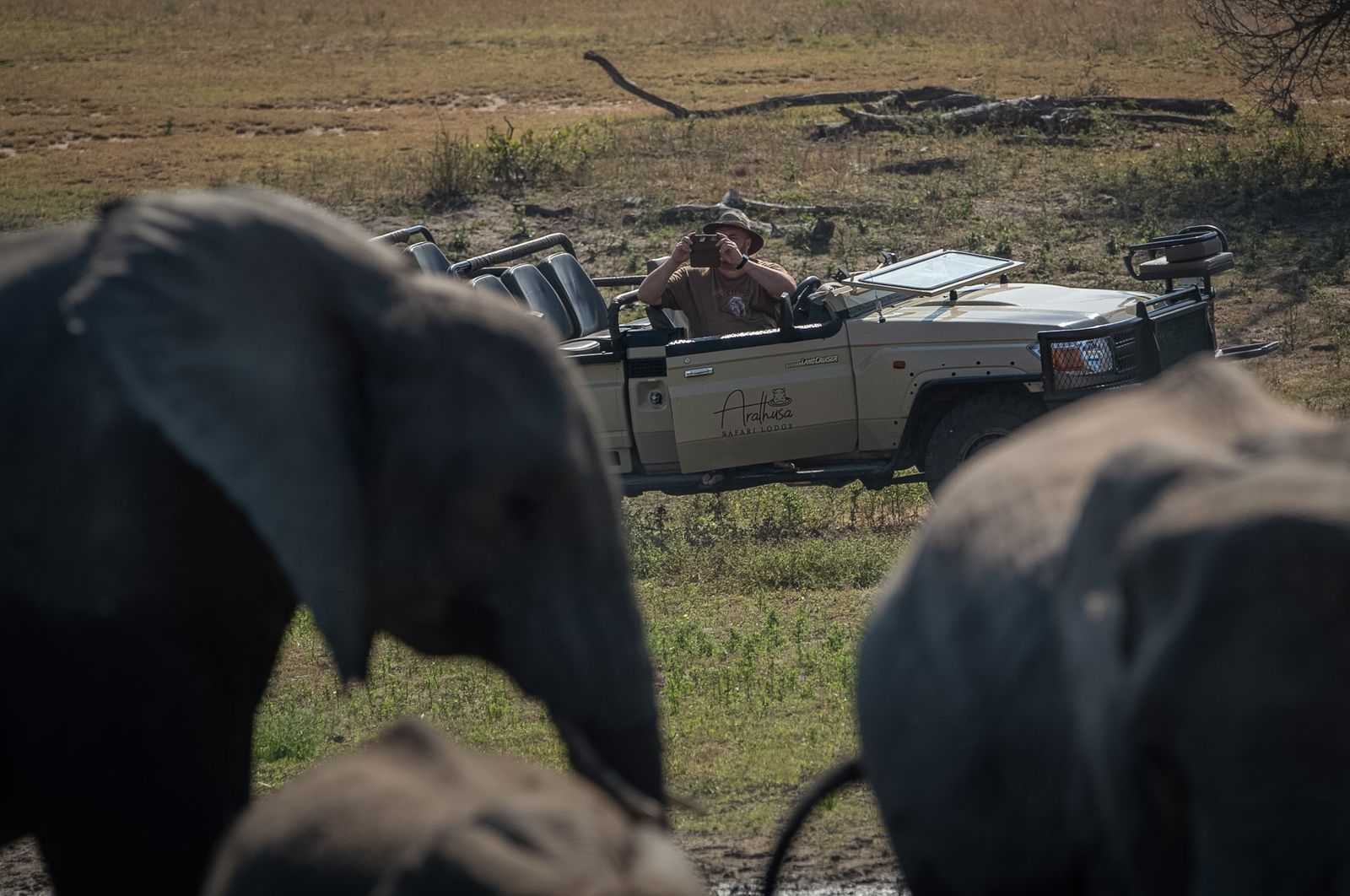 man-taking-pictures-of-elephants